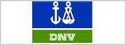 Det Norske Veritas (DNV) Logo in blue, green and white color on white background