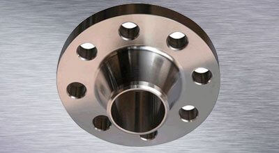 SS 317 Weld Neck Flanges