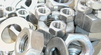 Stainless Steel Nuts