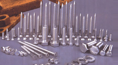 Stainless Steel Screws